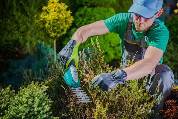 landscaping services Lakeland